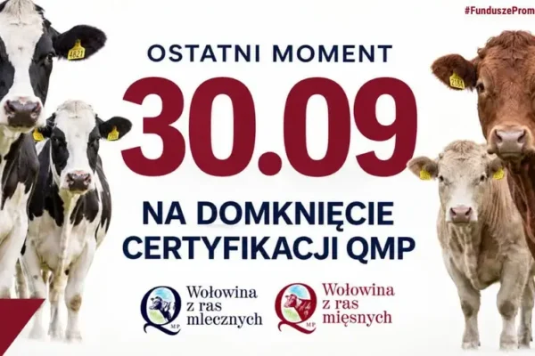 Ostatni dzień na certyfikat QMP. Rolnicy bez dokumentu stracą dopłaty