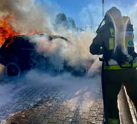 Pożar samochodu osobowego w Jodłowej-Wisowej. Akcja strażaków
