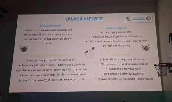 Bezpieczne grzybobranie: uczniowie klas I–III spotkali się z pracownikami Sanepidu