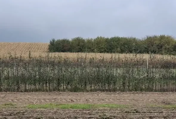 Jesienny sezon w szkółkach drzew owocowych na Podkarpaciu – wizyta przedstawicieli Izby Rolniczej