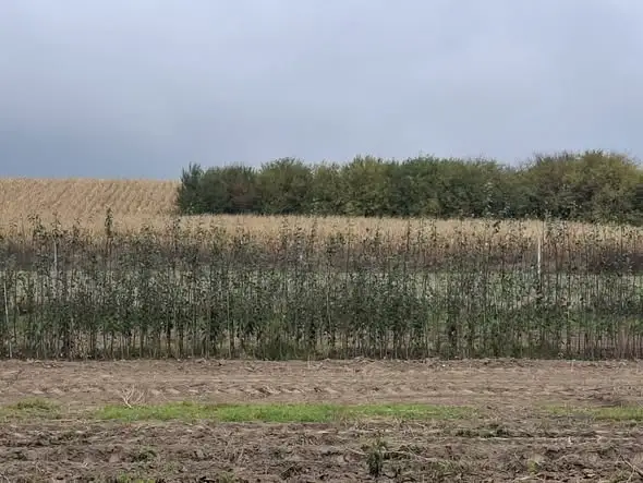 Jesienny sezon w szkółkach drzew owocowych na Podkarpaciu – wizyta przedstawicieli Izby Rolniczej
