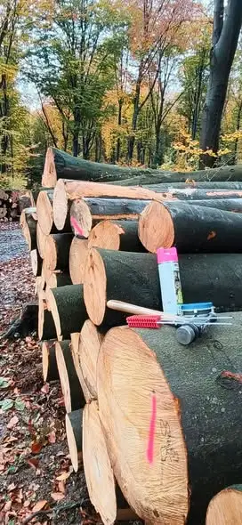 Leśnicy z Dębicy pokazują, jak wygląda codzienna praca służby terenowej